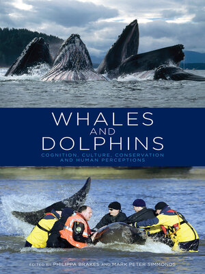 cover image of Whales and Dolphins